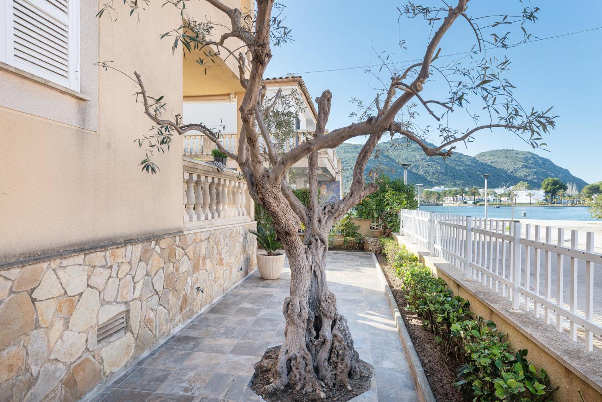 Villa Esperanza Alcudia  Ngoại thất bức ảnh